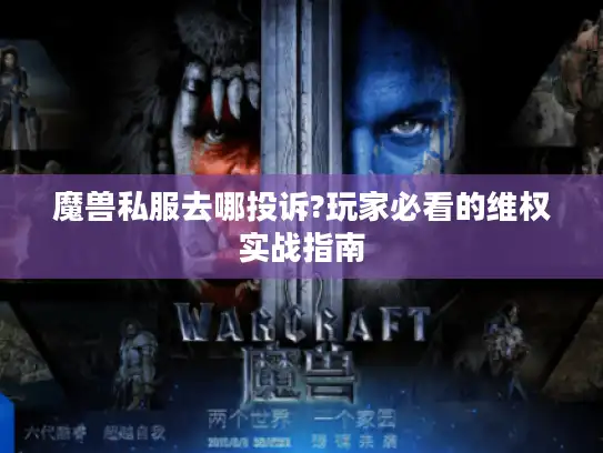魔兽私服去哪投诉?玩家必看的维权实战指南