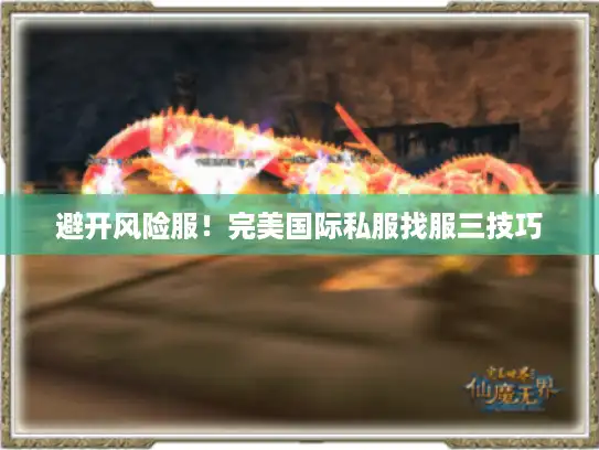 避开风险服！完美国际私服找服三技巧