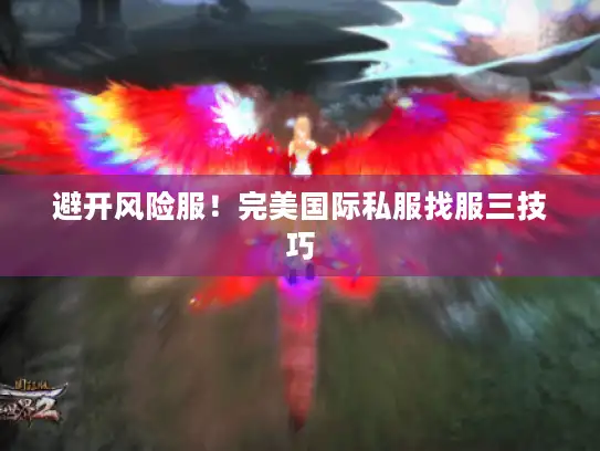 避开风险服！完美国际私服找服三技巧
