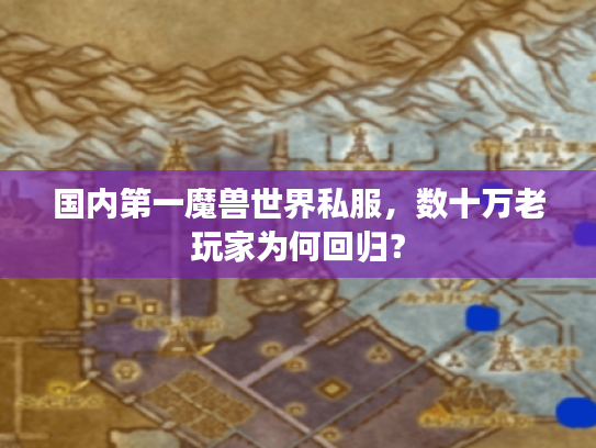 国内第一魔兽世界私服，数十万老玩家为何回归？