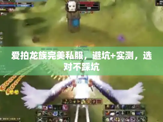 爱拍龙族完美私服,避坑+实测,选对不踩坑 爱拍龙族完美私服,避坑+实测,选对不踩坑