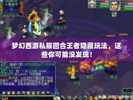 梦幻西游私服回合王者隐藏玩法，这些你可能没发现！