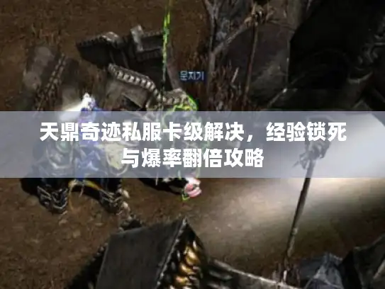 天鼎奇迹私服卡级解决,经验锁死与爆率翻倍攻略 天鼎奇迹私服卡级解决,经验锁死与爆率翻倍攻略