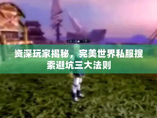 资深玩家揭秘，完美世界私服搜索避坑三大法则