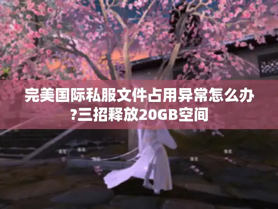 完美国际私服文件占用异常怎么办?三招释放20GB空间