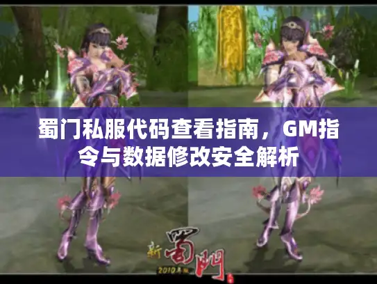 蜀门私服代码查看指南，GM指令与数据修改安全解析