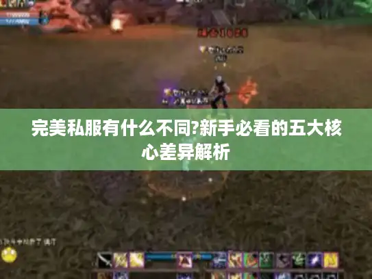 完美私服有什么不同?新手必看的五大核心差异解析