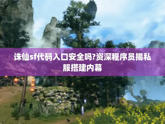 诛仙sf代码入口安全吗?资深程序员揭私服搭建内幕