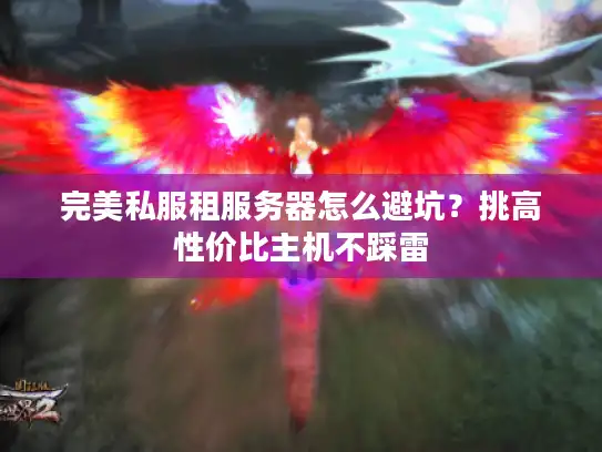 完美私服租服务器怎么避坑？挑高性价比主机不踩雷