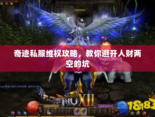 奇迹私服维权攻略,教你避开人财两空的坑 奇迹私服维权攻略,教你避开人财两空的坑