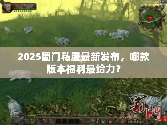 2025蜀门私服最新发布,哪款版本福利最给力? 2025蜀门私服最新发布,哪款版本福利最给力?