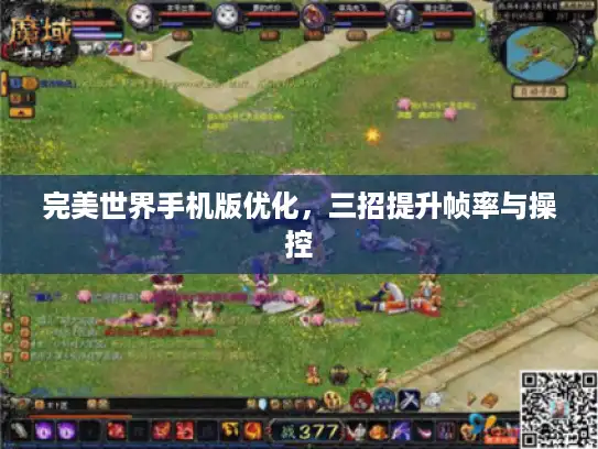 完美世界手机版优化,三招提升帧率与操控 完美世界手机版优化,三招提升帧率与操控