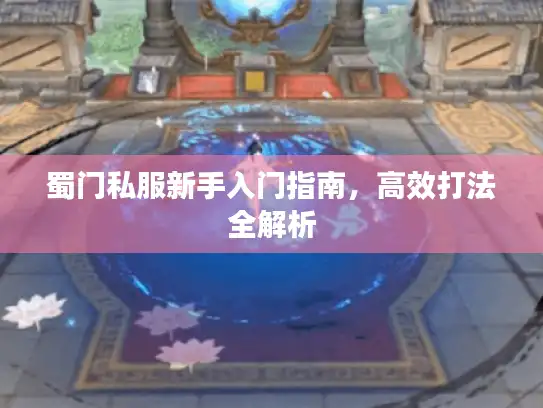 蜀门私服新手入门指南，高效打法全解析