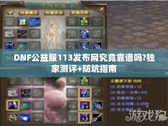 DNF公益服113发布网究竟靠谱吗?独家测评+防坑指南