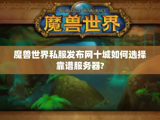 魔兽世界私服发布网十城如何选择靠谱服务器?