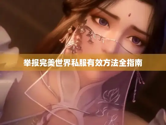 举报完美世界私服有效方法全指南 举报完美世界私服有效方法全指南