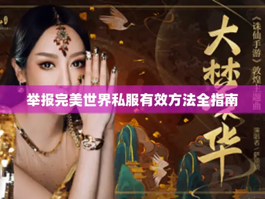 举报完美世界私服有效方法全指南 举报完美世界私服有效方法全指南