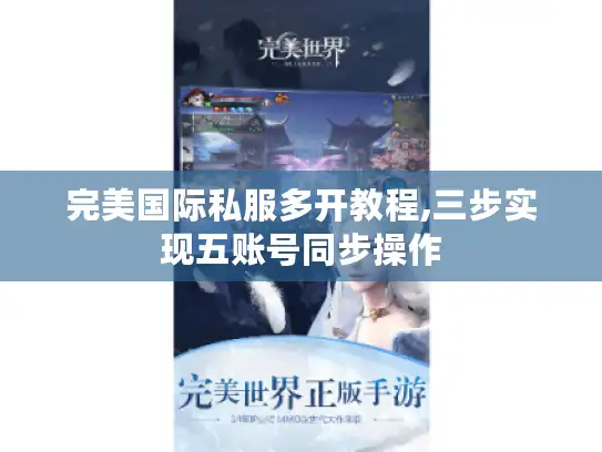 完美国际私服多开教程,三步实现五账号同步操作