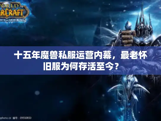 十五年魔兽私服运营内幕，最老怀旧服为何存活至今？