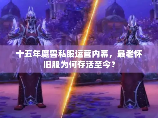 十五年魔兽私服运营内幕，最老怀旧服为何存活至今？