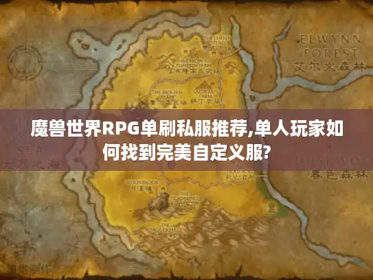 魔兽世界RPG单刷私服推荐,单人玩家如何找到完美自定义服?