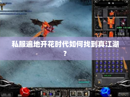 私服遍地开花时代如何找到真江湖? 私服遍地开花时代如何找到真江湖?