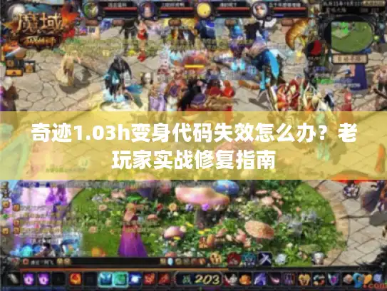 奇迹1.03h变身代码失效怎么办？老玩家实战修复指南