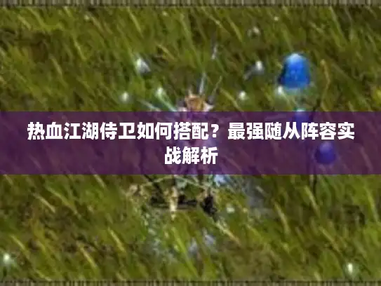 热血江湖侍卫如何搭配？最强随从阵容实战解析