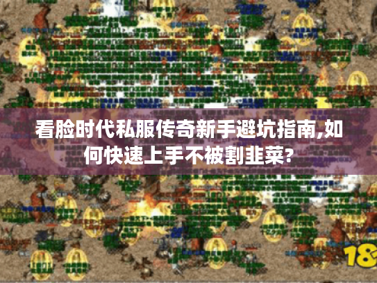 看脸时代私服传奇新手避坑指南,如何快速上手不被割韭菜? 看脸时代私服传奇新手避坑指南,如何快速上手不被割韭菜?