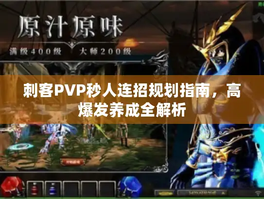 刺客PVP秒人连招规划指南,高爆发养成全解析 刺客PVP秒人连招规划指南,高爆发养成全解析