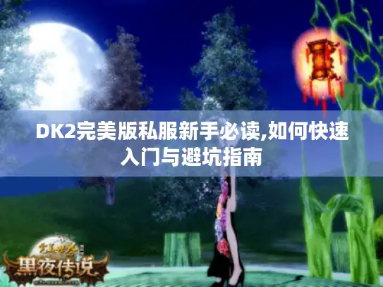 DK2完美版私服新手必读,如何快速入门与避坑指南