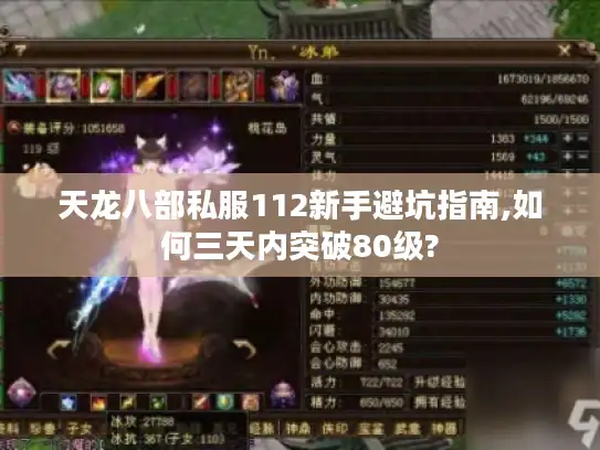 天龙八部私服112新手避坑指南,如何三天内突破80级?
