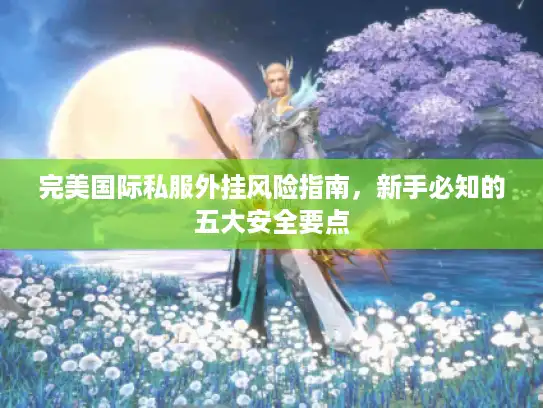完美国际私服外挂风险指南，新手必知的五大安全要点
