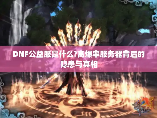 DNF公益服是什么?高爆率服务器背后的隐患与真相