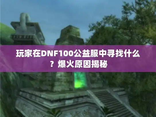 玩家在DNF100公益服中寻找什么？爆火原因揭秘