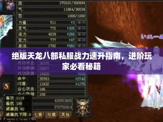 绝版天龙八部私服战力速升指南，进阶玩家必看秘籍