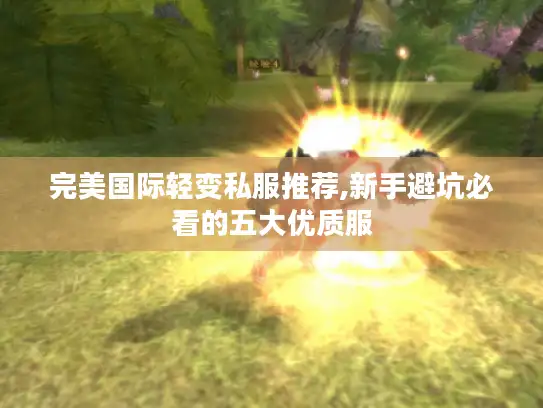 完美国际轻变私服推荐,新手避坑必看的五大优质服