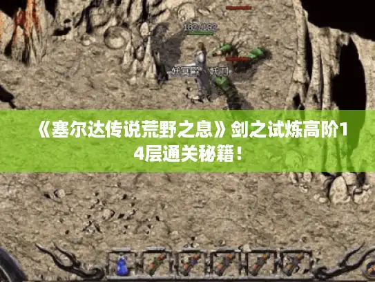 《塞尔达传说荒野之息》剑之试炼高阶14层通关秘籍! 《塞尔达传说荒野之息》剑之试炼高阶14层通关秘籍!