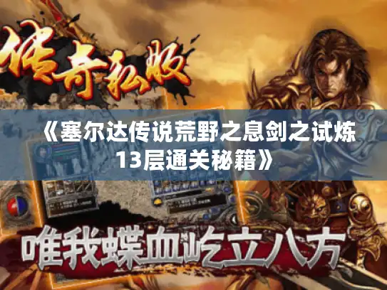 《塞尔达传说荒野之息剑之试炼13层通关秘籍》