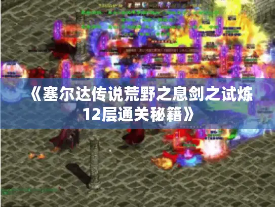 《塞尔达传说荒野之息剑之试炼12层通关秘籍》 《塞尔达传说荒野之息剑之试炼12层通关秘籍》