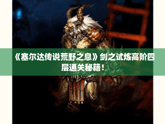 《塞尔达传说荒野之息》剑之试炼高阶四层通关秘籍！