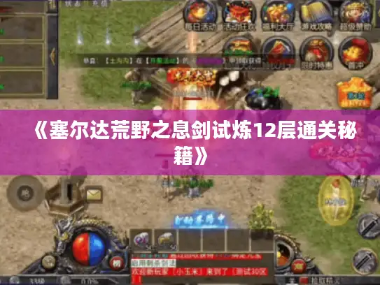 《塞尔达荒野之息剑试炼12层通关秘籍》