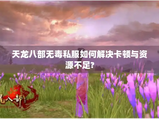 天龙八部无毒私服如何解决卡顿与资源不足? 天龙八部无毒私服如何解决卡顿与资源不足?
