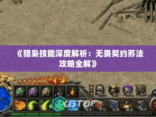 《猎枭技能深度解析:无畏契约苏法攻略全解》 《猎枭技能深度解析:无畏契约苏法攻略全解》