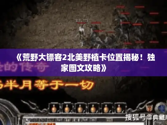 《荒野大镖客2北美野植卡位置揭秘！独家图文攻略》