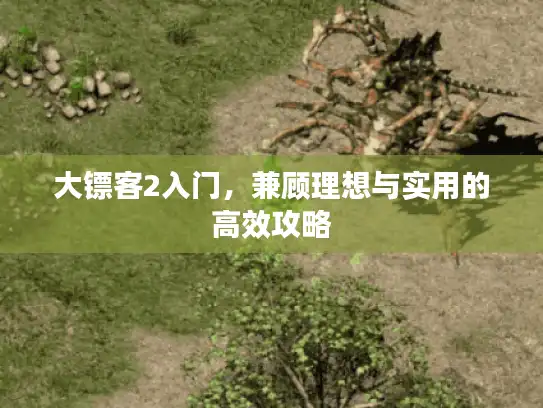 大镖客2入门，兼顾理想与实用的高效攻略
