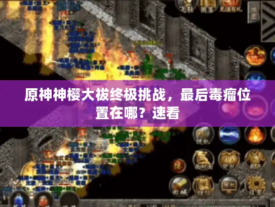 原神神樱大祓终极挑战,最后毒瘤位置在哪?速看 原神神樱大祓终极挑战,最后毒瘤位置在哪?速看