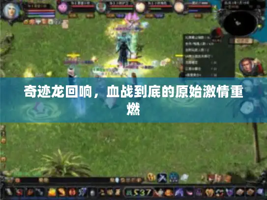 奇迹龙回响,血战到底的原始激情重燃 奇迹龙回响,血战到底的原始激情重燃