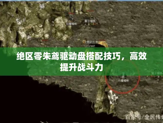 绝区零朱鸢驱动盘搭配技巧,高效提升战斗力 绝区零朱鸢驱动盘搭配技巧,高效提升战斗力