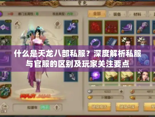 什么是天龙八部私服？深度解析私服与官服的区别及玩家关注要点